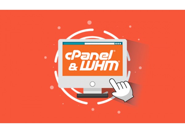 cPanel 100 Accounts